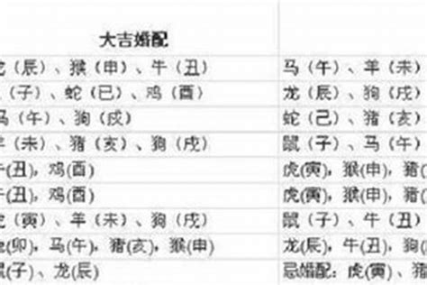 1997生肖配對|97年属什么 97年属什么的生肖配对